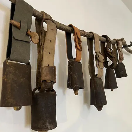 Spacious & Relaxing With Free Parking Cark